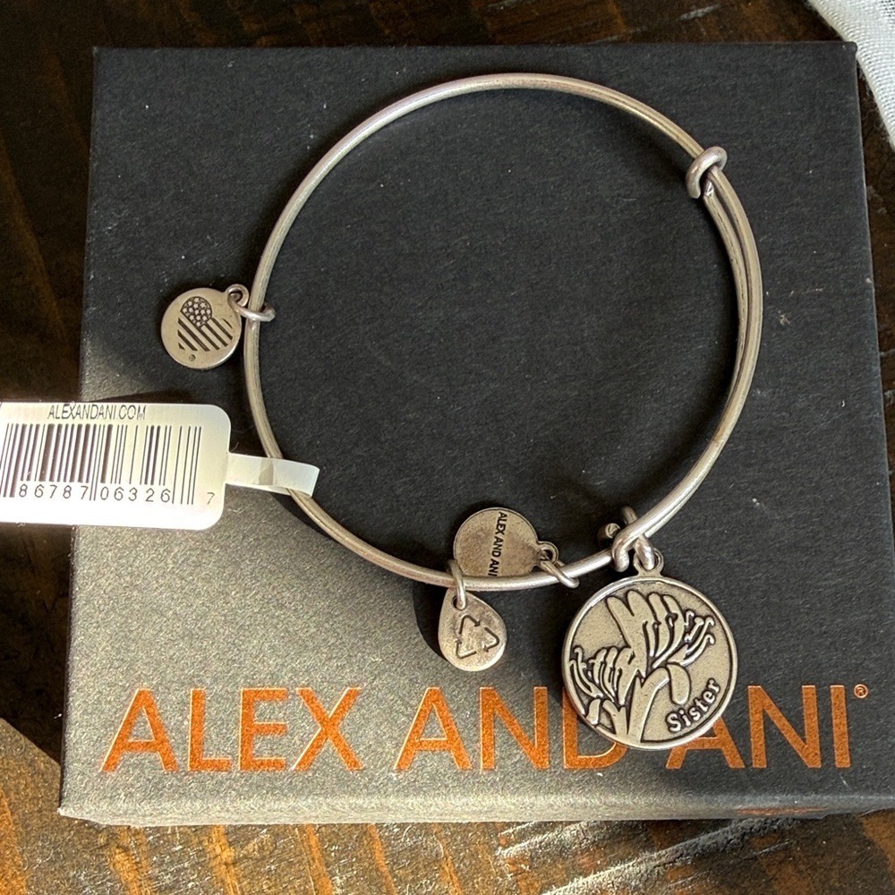 Alex and Ani Bangle Women OS Silver NEW Sister Charm A12EB48RS Expandable Wire